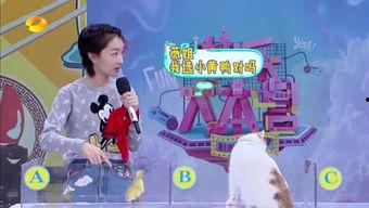 地球小子杯爆料视频,揭秘赛事精彩瞬间与幕后故事  第2张